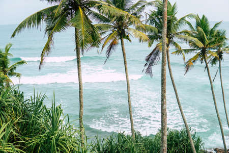 Beautiful sunset at a beach resort in tropics.の写真素材