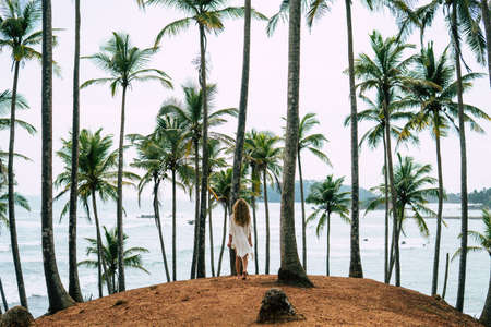 tropical beach with coconut palmの写真素材