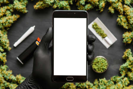 Grinder A lot ofx marijuana, fresh buds of cannabis many weed. Copy spase Copy-spaceの写真素材