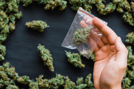 Grinder A lot ofx marijuana, fresh buds of cannabis many weed. Copy spase Copy-spaceの写真素材