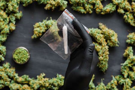 Grinder A lot ofx marijuana, fresh buds of cannabis many weed. Copy spase Copy-spaceの写真素材