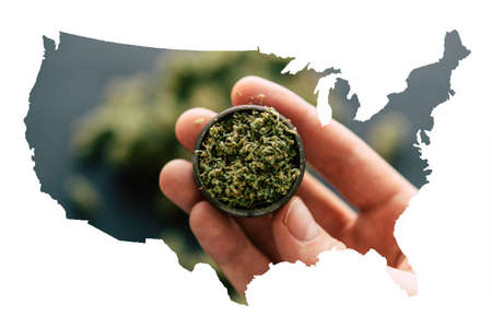 in hand a grinder to grind marijuana weed against a background of flowers of cannabis and scales and joint top view close upの写真素材