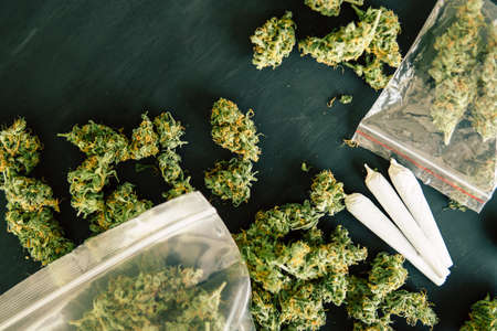 rolled joint with marijuana in the hands of a man against the background of fresh cones of cannabis flowers close upの写真素材