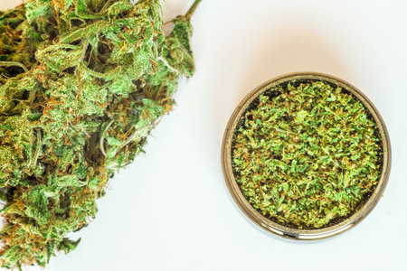 Sticky buds of marijuana flowers with cannabis trihoma, cannabis leaf, the concept of medical use THC and CBDの写真素材