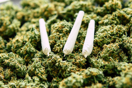 Joint and Background of buds cannabis, marijuana flower weed top view copy spase close up