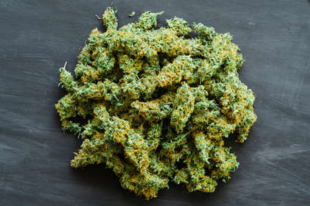 A lot of marijuana.の写真素材