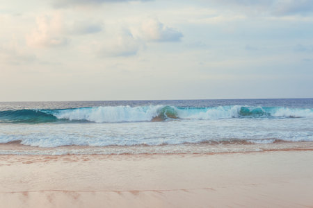 beach and tropical seaの写真素材