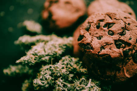 The concept CBD and THC are on a black table with cannabis buds. Treatment with the help of Canabis in a moody green tone. Marijuana in food. of Cookies Chocolate withの写真素材