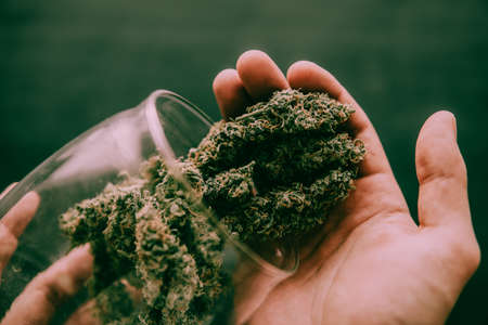 Macro of marijuana with trichomes and crushed weed and rolled joint in a grinder for chopping a canapis on a black tableの写真素材