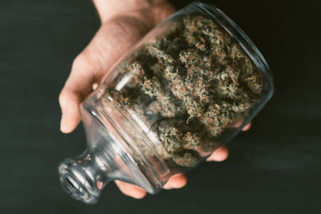 Concepts of legalizing weed. A bank with fresh buds of cannabis in the hands of a man. A lot of marijuana. Top view. Close up . Black background .の写真素材
