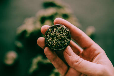 a grinder to grind marijuana weed against a background of flowers of cannabis and scales and joint top viewの写真素材