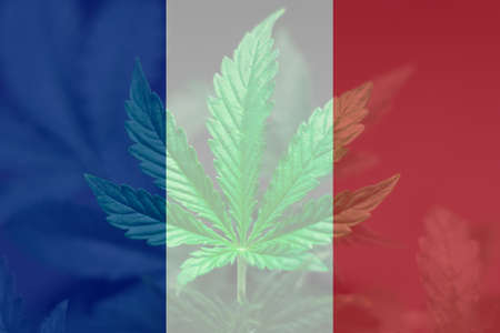 The decriminalization of marijuana in France. Medical Use of Cannabis in France. Cannabis Legalization Procedure in the France.の写真素材