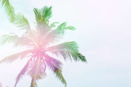 Untouched tropical beach in Sri Lankaの写真素材