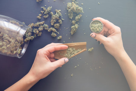 Pot use concept. Close up of marijuana blunt with grinder. Close up Woman rolling a marijuana joint....