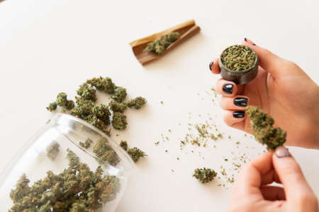 Close up of marijuana blunt with grinder. Woman rolling a cannabis blunt on white background. marijuana use concept. Woman preparing and rolling marijuana cannabis joint. Top viewの写真素材