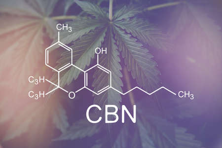 CBN formula, cannabinoid . despancery business. cannabinoids and health, Hemp industry, Growing Marijuana, medical marijuana, CBD and THC elements in Cannabis,の写真素材