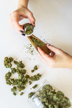 Woman preparing and rolling marijuana cannabis joint. Woman rolling a marijuana joint on white background. Cannabis use concept. Close up of marijuana blunt with grinder.の写真素材