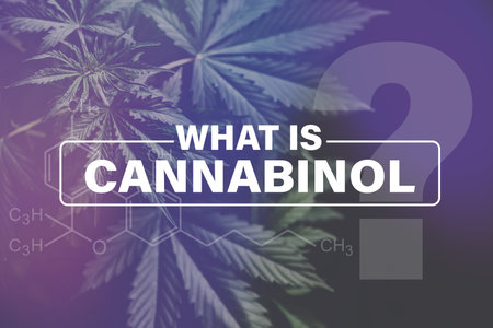 Cannabidiol CBD formula, cultivation cannabis, Growing cannabis indica, background green, CBD,...