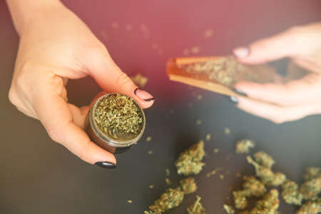 Close up marijuana use concept. Close up of marijuana blunt with grinder. Woman preparing and rolling marijuana cannabis joint. Woman rolling a marijuana joint. Color toningの写真素材