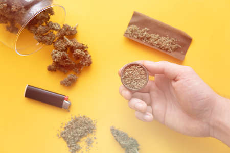 Fresh marihuana. CBD and THC on buds in cannabis. Top view. Cannabis buds in hand on yellow background Background for Copy space. Blunt and Lighters. Hemp legalisation.の写真素材