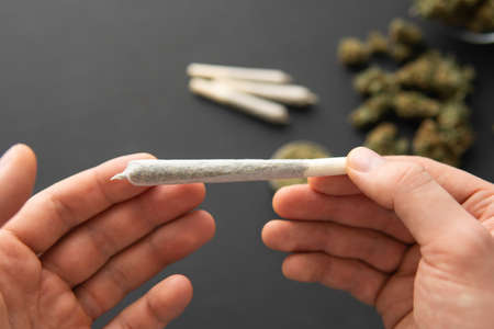 joint with weed in hand, Cannabis buds on black table, close up, grinder with fresh marijuana,の写真素材