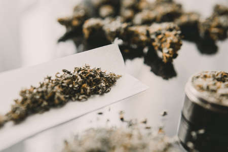 Herb grinder Fresh marihuana. Blunt and Lighters. Cannabis buds in hand on black background Background for Copy space. CBD and THC on buds in cannabis. Close up.の写真素材