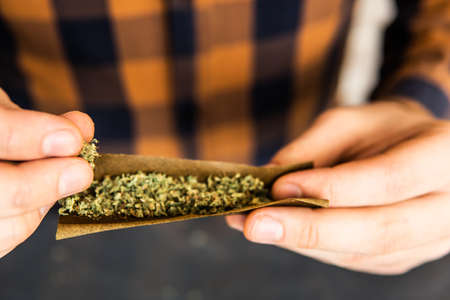 Close up of addict lighting up marijuana Blunt with lighter. Drugs narcotic concept. Man rolling a marijuana Blunt Drug use. Man preparing and rolling marijuana cannabis Blunt. Close up.の写真素材