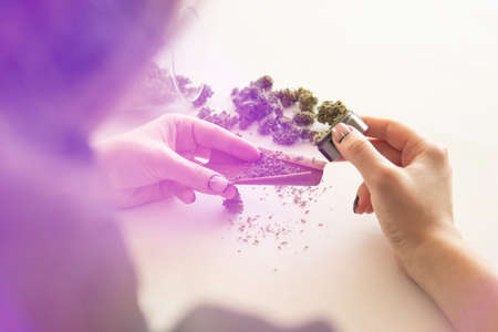Woman rolling a marijuana blunt on white background. Cannabis use concept. Close up of marijuana blunt with grinder. Woman preparing and rolling marijuana cannabis joint. Color toningの写真素材
