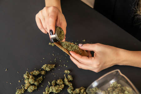 Close up of marijuana blunt with grinder. Marijuana use concept. Woman preparing and rolling marijuana cannabis joint. Woman rolling a marijuana joint.の写真素材