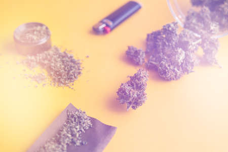 Top view. Cannabis buds on yellow background. Blunt and Lighters. CBD and THC on buds in cannabis. Background for Copy space. Hemp legalisation. Fresh marihuana. light leaksの写真素材