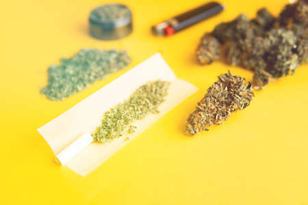 Hemp legalisation. CBD and THC on buds in cannabis. Herb grinder Fresh marihuana. Cannabis buds in hand on yellow background Background for Copy space. Top view. Blunt and Lighters.の写真素材