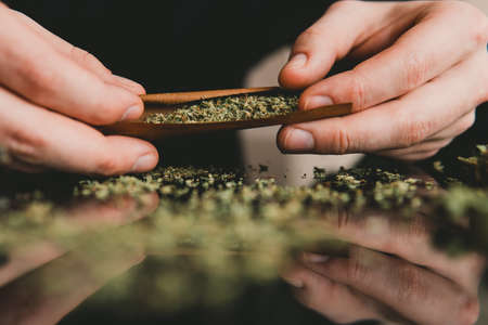 Man rolling a marijuana weed blunt. Close up marijuana joint with lighter. Man rolling marijuana cannabis blunt.の写真素材