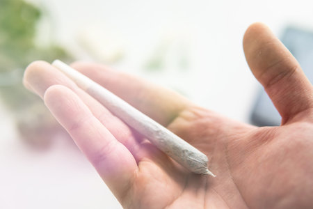 joint with marijuana in hand weed, close up, Cannabis buds on white table background, light leaks...