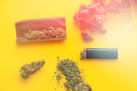 CBD and THC on buds in cannabis. Top view. Cannabis buds on yellow background Background for Copy space. Hemp legalisation. Blunt and Lighters. Fresh marihuana. light leaksの写真素材