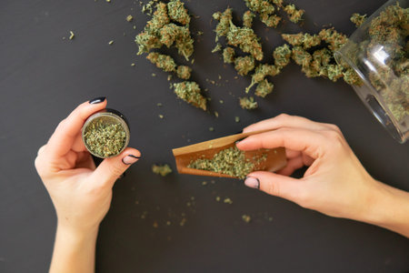 Pot use concept. Top view of marijuana blunt with grinder. Woman preparing and rolling marijuana...