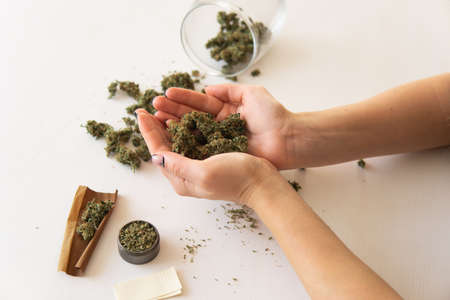 Woman and cannabist in hand white background. Marijuana use concept. Close up of Marijuana in hand. Woman preparing marijuana cannabis.の写真素材