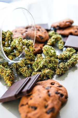 Cookies with cannabis and buds of marijuana on the table. Cookies with cannabis herb CBD. Treatment of medical marijuana for use in food, white background. Vertical shotの写真素材