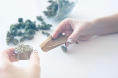 Marijuana use concept. Woman rolling a marijuana joint on white background. Woman preparing and rolling marijuana cannabis joint. Close up of marijuana blunt with grinder. Color toningの写真素材