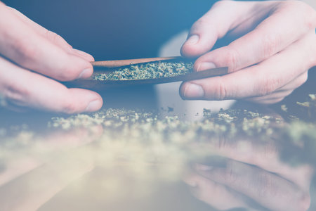 Man rolling a marijuana weed blunt. Man rolling marijuana cannabis blunt. Close up marijuana joint...