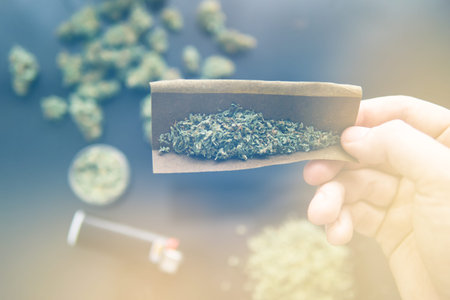 CBD and THC on buds in cannabis. Herb grinder Fresh marihuana. Close up. Blunt and Lighters....