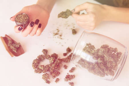 Woman rolling a cannabis blunt on white background. marijuana use concept. Close up of marijuana blunt with grinder. Woman preparing and rolling marijuana cannabis joint. Color toningの写真素材