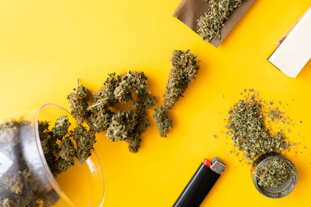 Fresh marihuana. Top view. Cannabis buds on yellow background. CBD and THC on buds in cannabis. Blunt and Lighters. Background for Copy space. Hemp legalisation.の写真素材