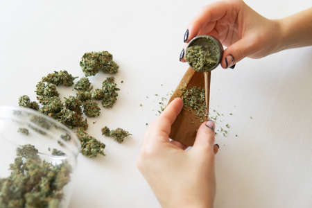 Woman preparing and rolling marijuana cannabis joint. Marijuana use concept. Close up of marijuana blunt with grinder. Woman rolling a marijuana joint on white background.の写真素材