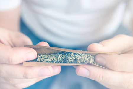 Man preparing and rolling marijuana cannabis blunt. Close up of Man rolling a cannabis blunt on white background.の写真素材