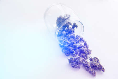 weed, fresh marijuana, close up, Cannabis buds on white table, light leaks color tonesの写真素材