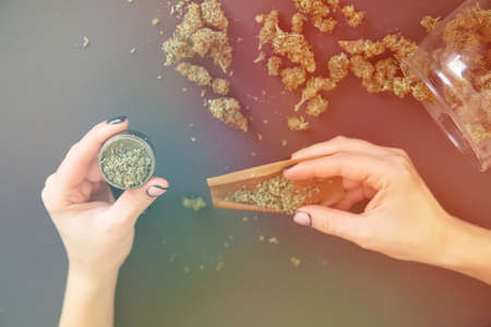 Close up Woman rolling a marijuana joint. Pot use concept. Close up of marijuana blunt with grinder. Woman preparing and rolling marijuana cannabis joint. Color toning Top viewの写真素材
