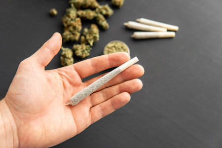 in hand joint with weed, Cannabis buds on black table, top view, grinder with fresh marijuana,