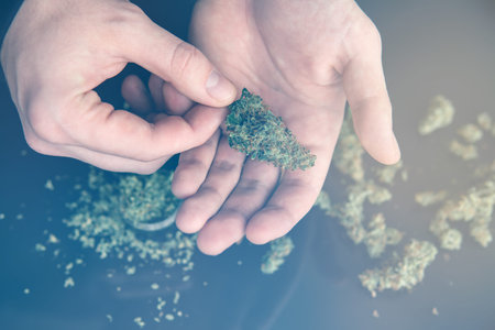 Close up of addict lighting up marijuana joint with lighter. Pot use concept. Man rolling a...