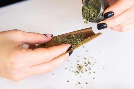 Cannabis use concept. Close up of marijuana blunt with grinder. Woman rolling a marijuana joint on white background. Woman preparing and rolling marijuana cannabis joint.の写真素材
