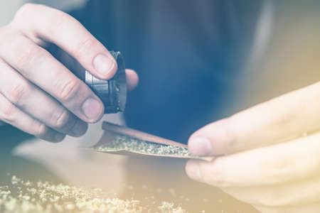 Man rolling a marijuana weed blunt. Man rolling marijuana cannabis blunt. Close up marijuana joint with lighter. light licks color toned light leaksの写真素材
